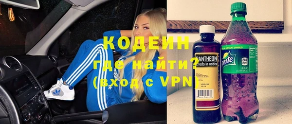 мдпв Весьегонск